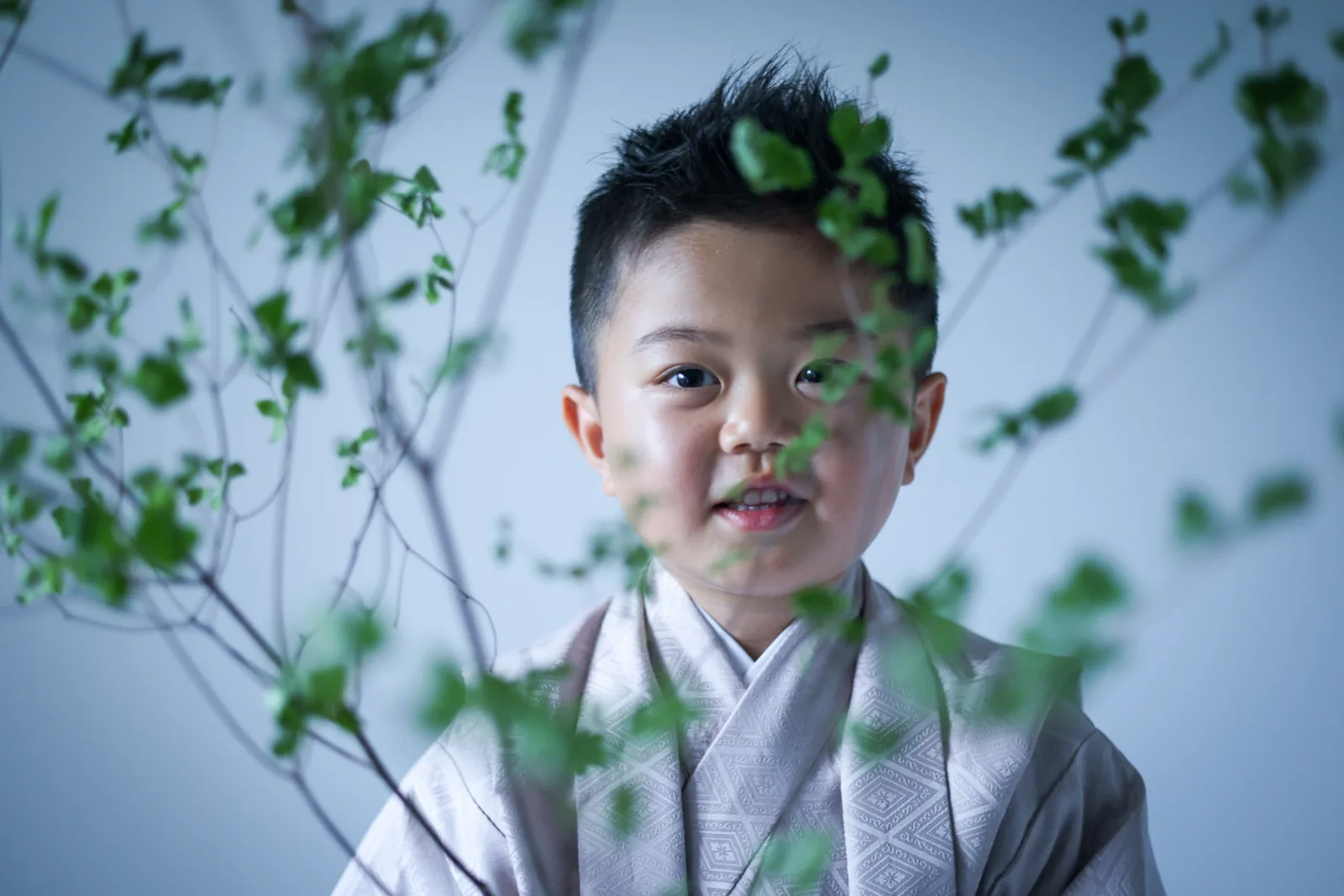 葉の向こうから笑う、袴姿の男の子